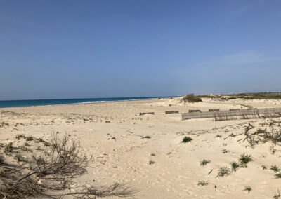 Paisaje de playa en un espacio natural