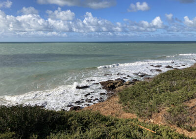 Paisaje de playa con agua y vegetación costera