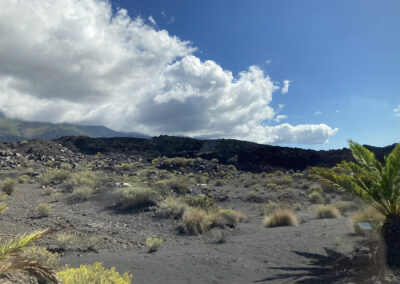 Vista de un espacio natural protegido